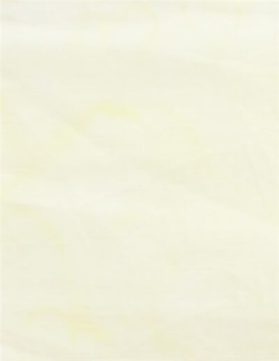 Anthology Lava Solids Champagne 100Q-1709 Champagne