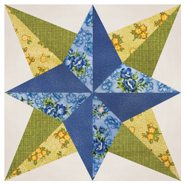 accuquilt-55051-blazing-star-12-finished-by-eleanor-burns-quilting-in-the-valley