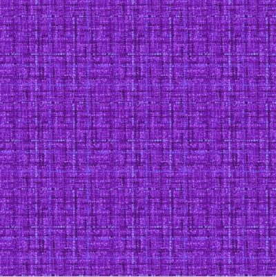 Michael Miller Coco Purple CX9316-Purple