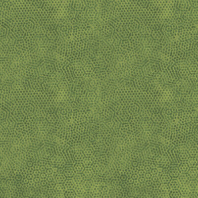 Andover Fabrics Dimples 1867-G2 Acid