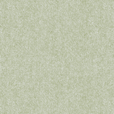 Benartex Winter Wool Basic Tweed Light Sage 9618-04