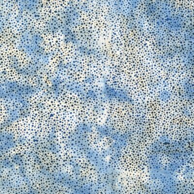 Hoffman 885 Dot Batiks 885-243 Delft