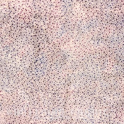 Hoffman 885 Dot Batiks 885-346 Huckleberry