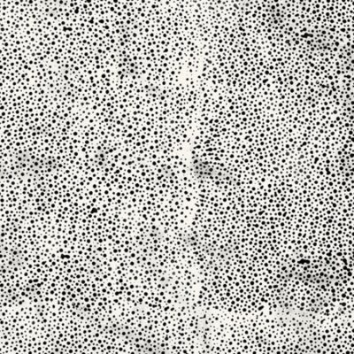 Hoffman 885 Dot Batiks 885-655 Chalk